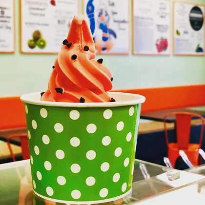 Blitzer's Premium Frozen Yogurt, business photo 4
