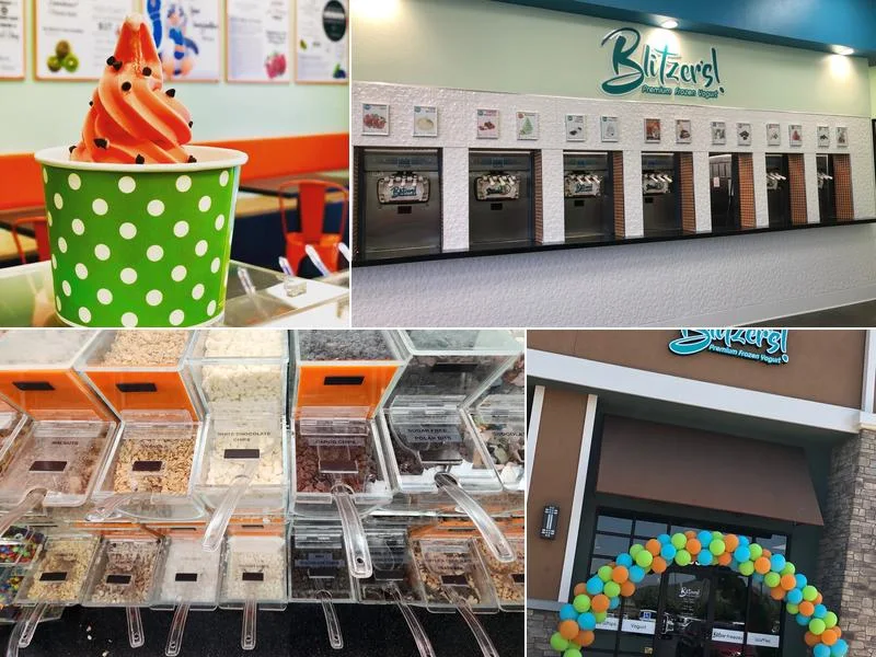 Blitzer's Premium Frozen Yogurt business photo