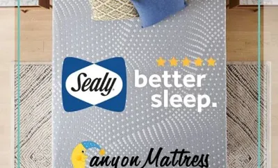 Canyon Mattress and More, business photo 1