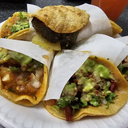 Coyote Taqueria, business photo 4