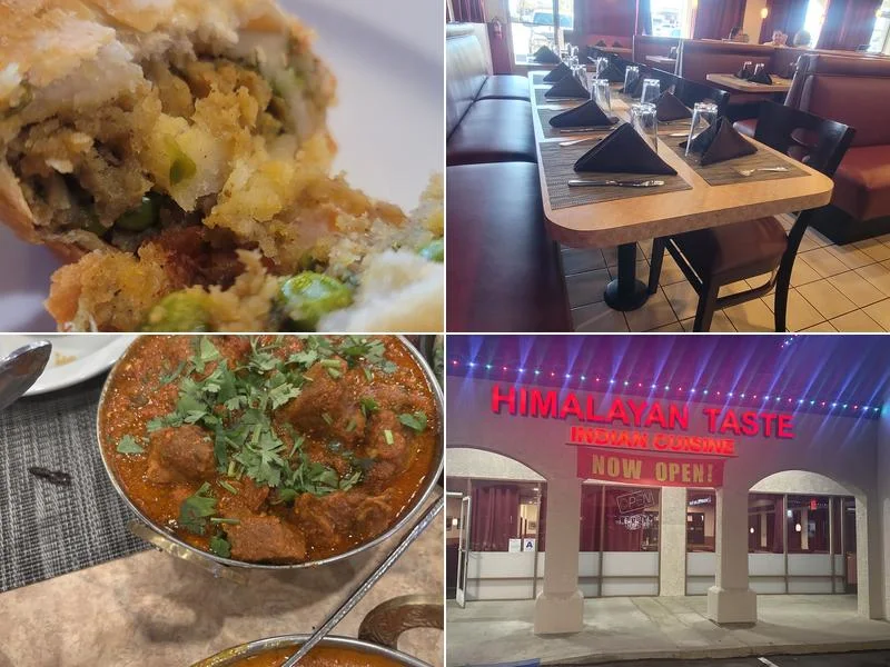 HIMALAYAN TASTE INDIAN CUISINE business photo