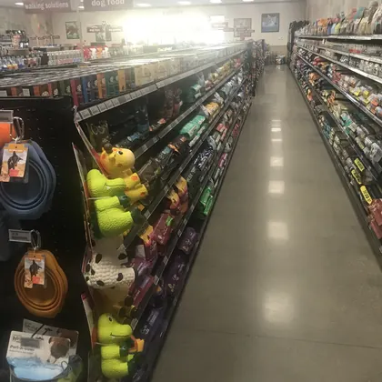 Kahoots, business photo 3