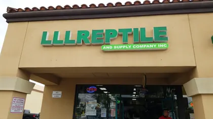 LLLReptile & Supply Menifee, business photo 2