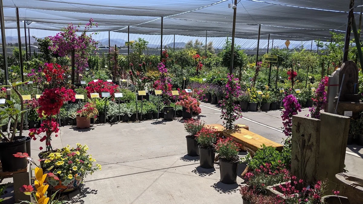 Louie's Landscape Materials Inc business photo