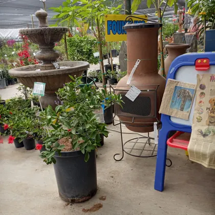 Louie's Nursery & Landscape Materials Inc, business photo 2