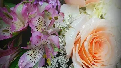 Sun City Florist & Gifts, business photo 4